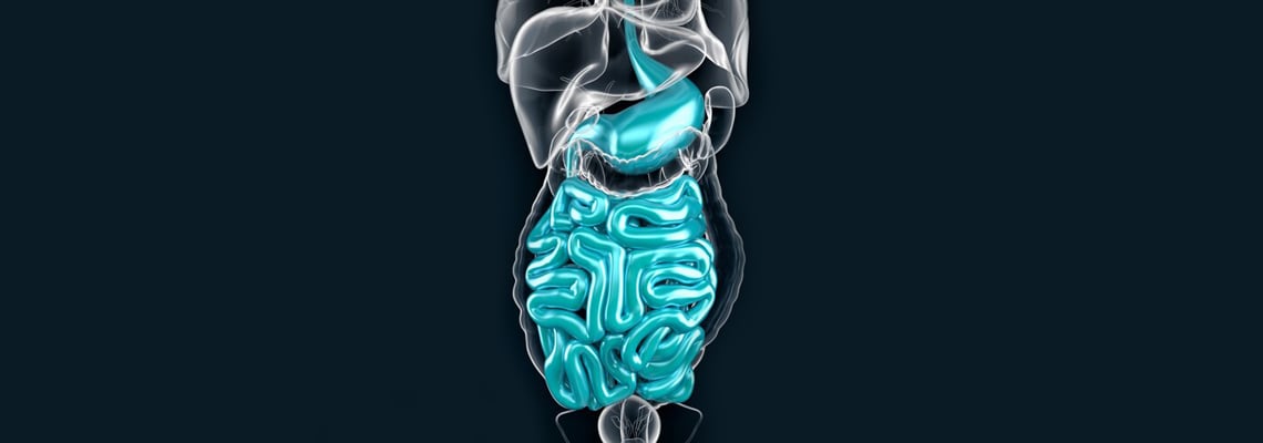 L'avenir des chirurgies de perte de poids - Chirurgie de la manche gastrique